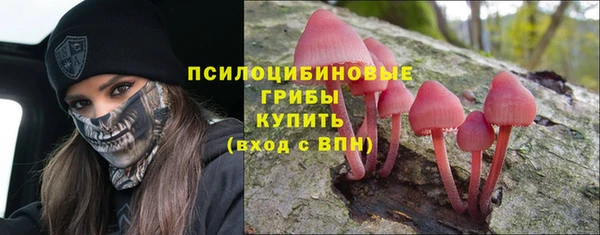 apvp Алзамай